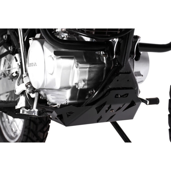 PROTECTOR DE MOTOR XR 150 L 2.0
